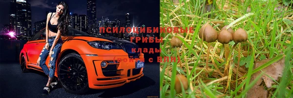 не бодяженный Богородск