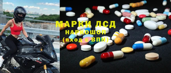 стафф Богданович