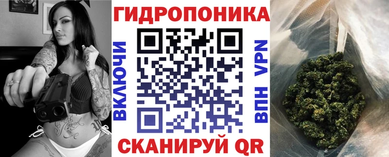 цены   Кириши  Бошки марихуана ГИДРОПОН 